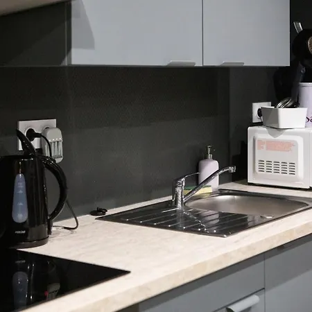 Ultra Deluxe Studio, Free Parking, Under Sea Experience Apartman Mulhouse