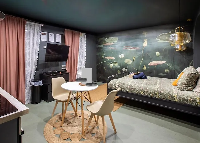 Ultra Deluxe Studio, Free Parking, Under Sea Experience Apartamento Mulhouse