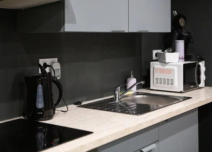 Ultra Deluxe Studio, Free Parking, Under Sea Experience Apartamento Mulhouse